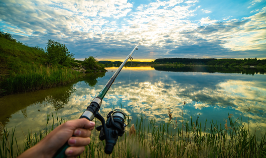 Schöne Natur am See