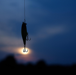 Nachtangeln